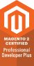 Magento 2 Professional Developer Plus